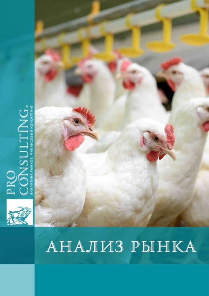 Анализ рынка птицеводства Украины. 2025 год